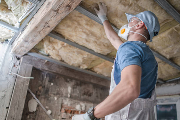Best Eco-Friendly Insulation in Oregon, IL