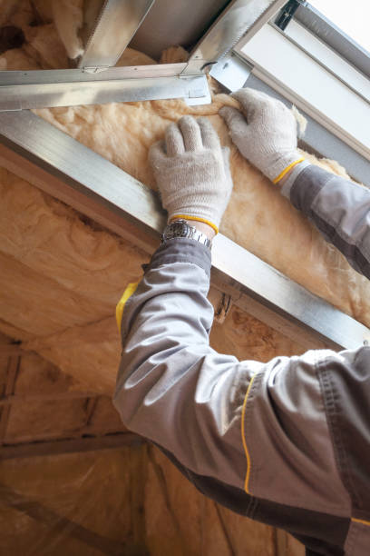 Best Residential Insulation in Oregon, IL